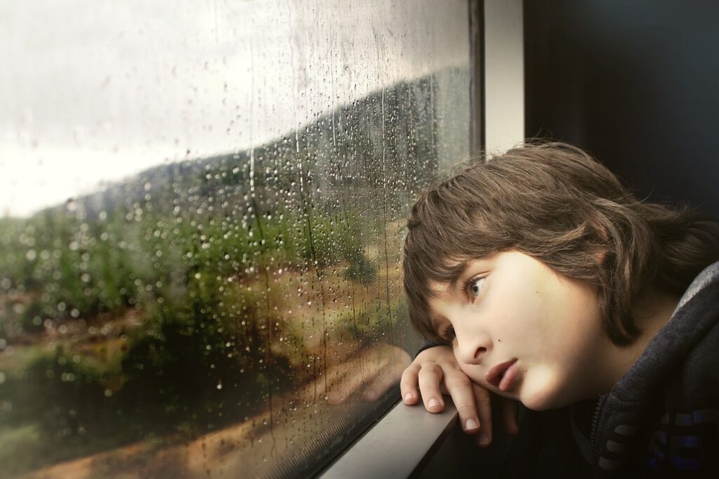 little boy, nature, window-731165.jpg