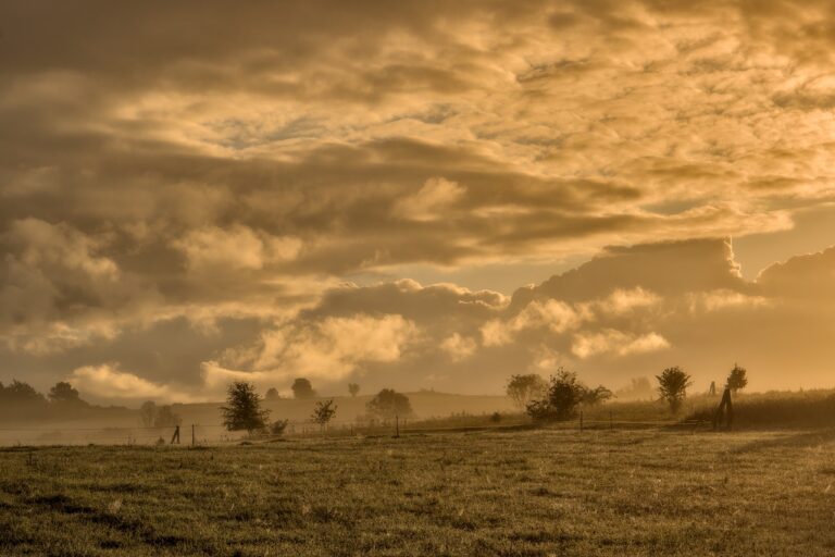 field, pasture, nature, meadow, morning mood, haze, landscape, clouds, mood, early fog, morning hours, good morning, sunrise, good morning, good morning, good morning, good morning, good morning